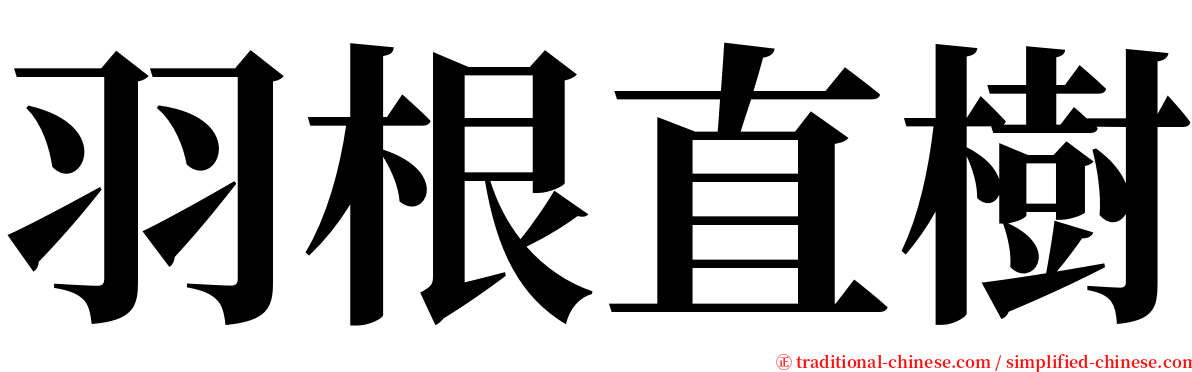 羽根直樹 serif font