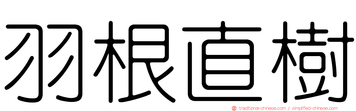 羽根直樹