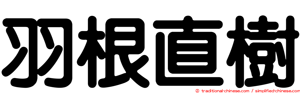 羽根直樹