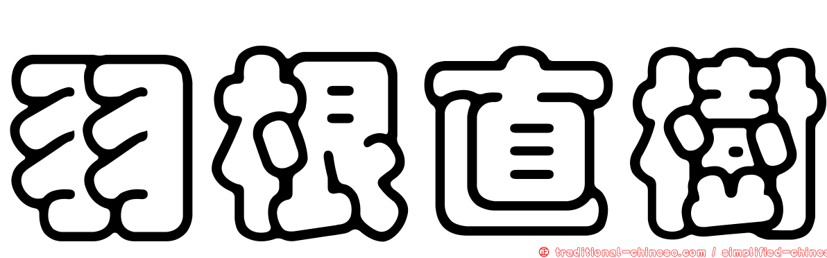 羽根直樹