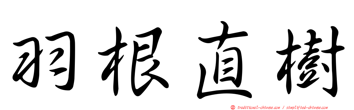 羽根直樹