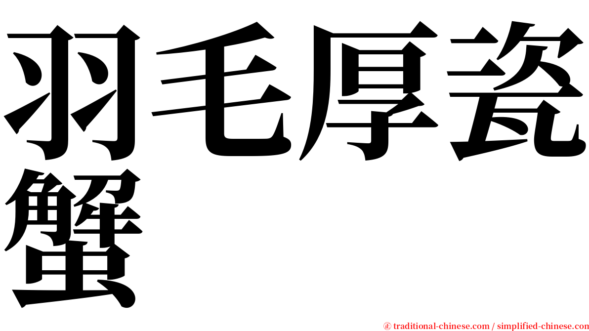 羽毛厚瓷蟹 serif font