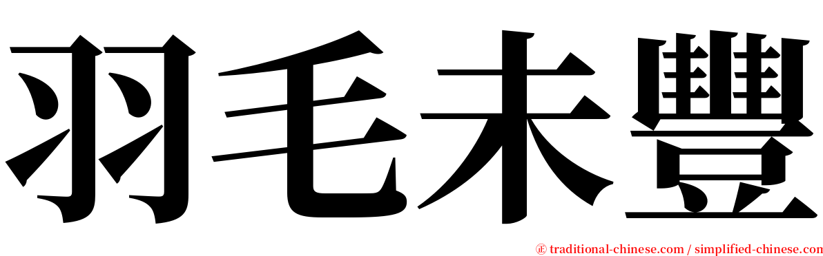 羽毛未豐 serif font