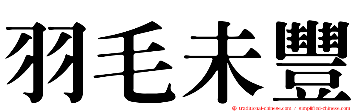 羽毛未豐