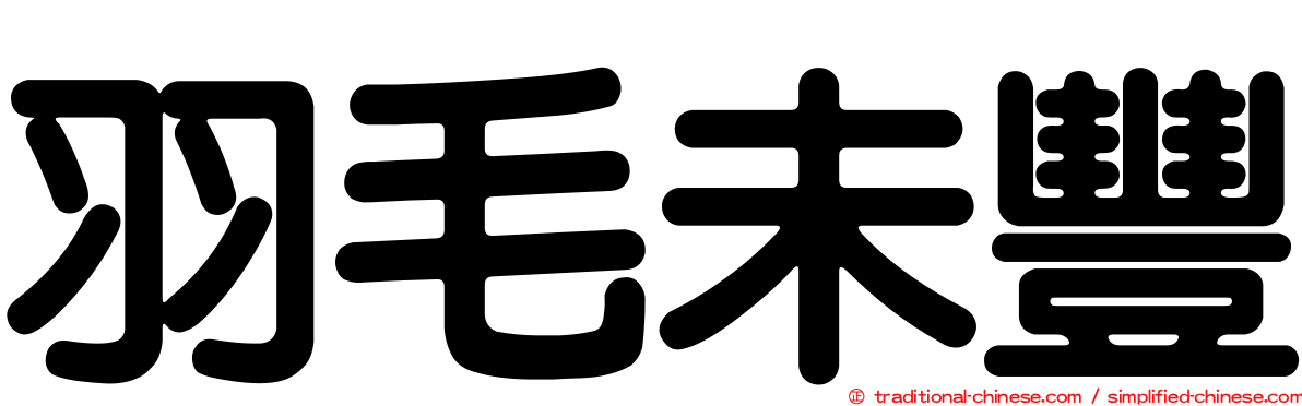 羽毛未豐