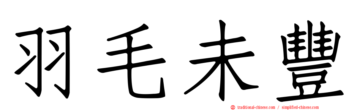 羽毛未豐