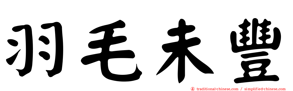 羽毛未豐