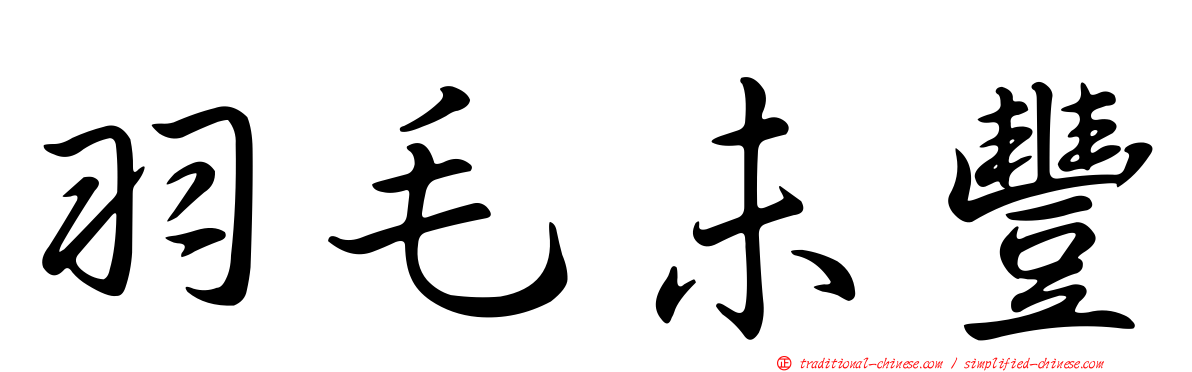 羽毛未豐