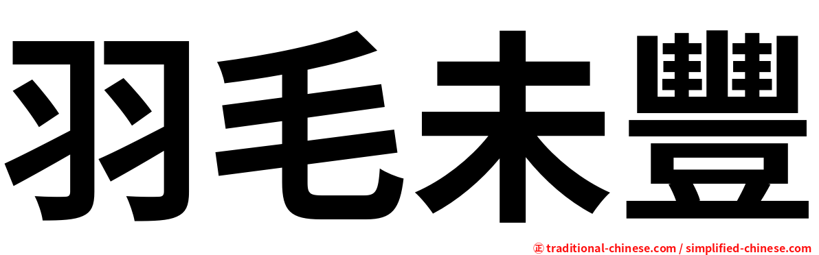 羽毛未豐