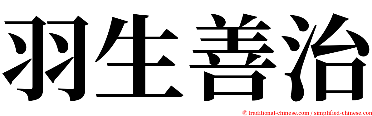 羽生善治 serif font