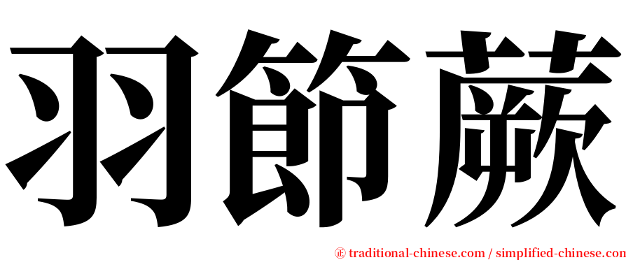 羽節蕨 serif font