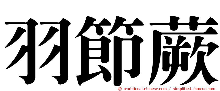 羽節蕨