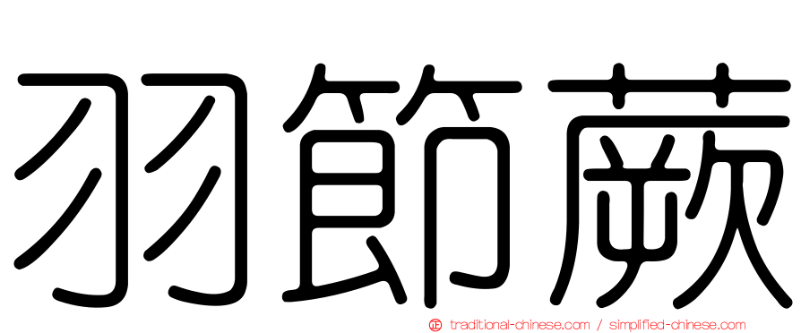 羽節蕨