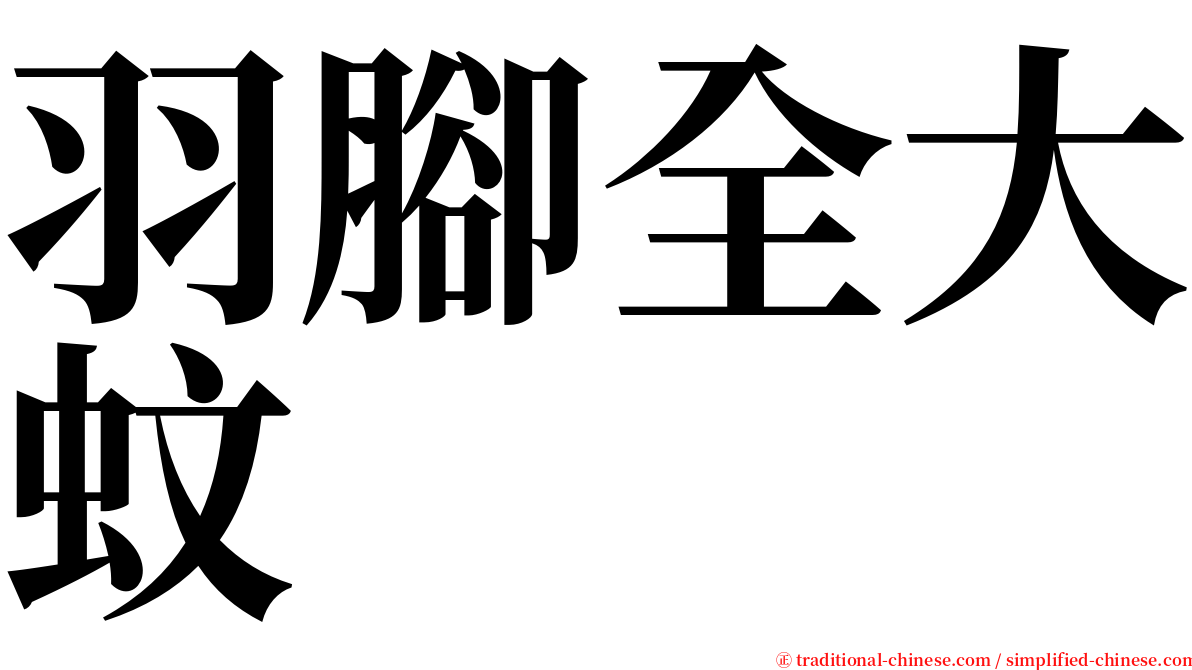 羽腳全大蚊 serif font