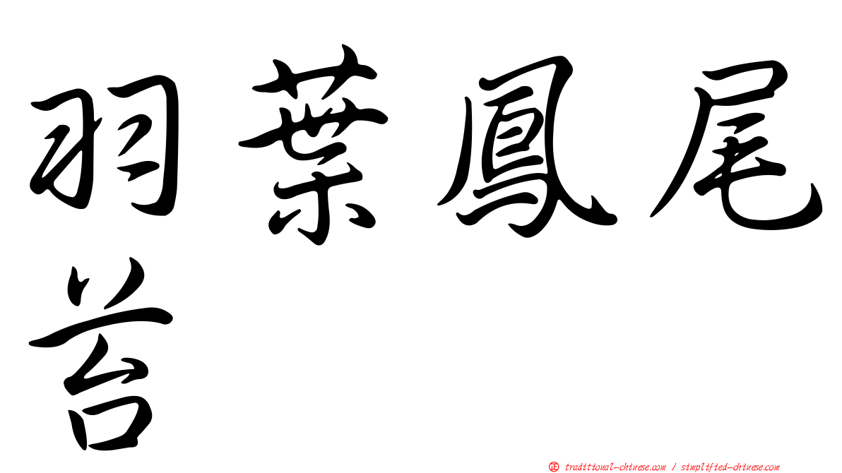 羽葉鳳尾苔