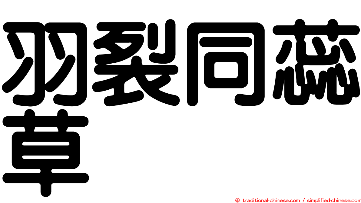 羽裂同蕊草