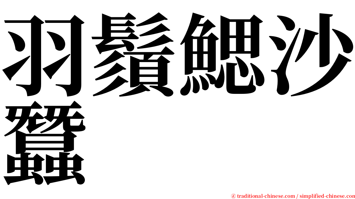 羽鬚鰓沙蠶 serif font