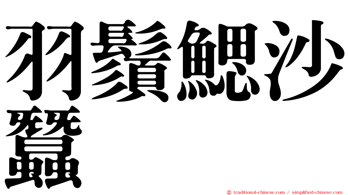 羽鬚鰓沙蠶