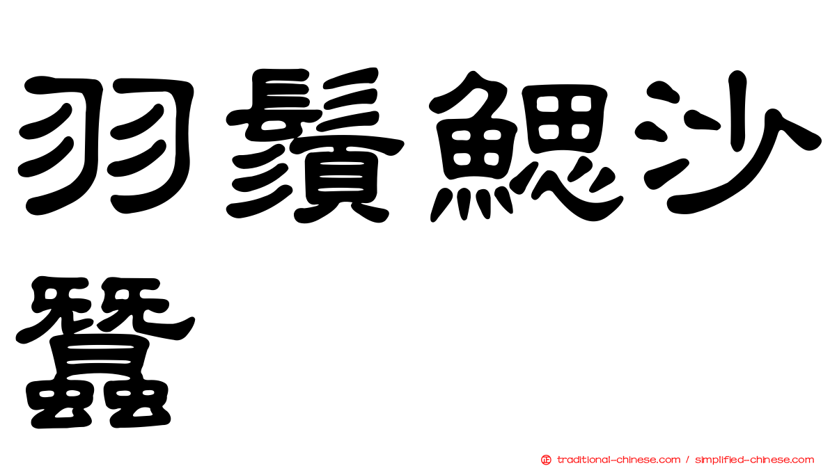 羽鬚鰓沙蠶