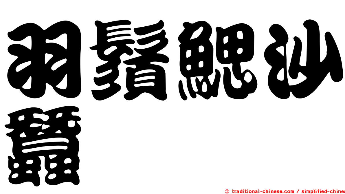 羽鬚鰓沙蠶