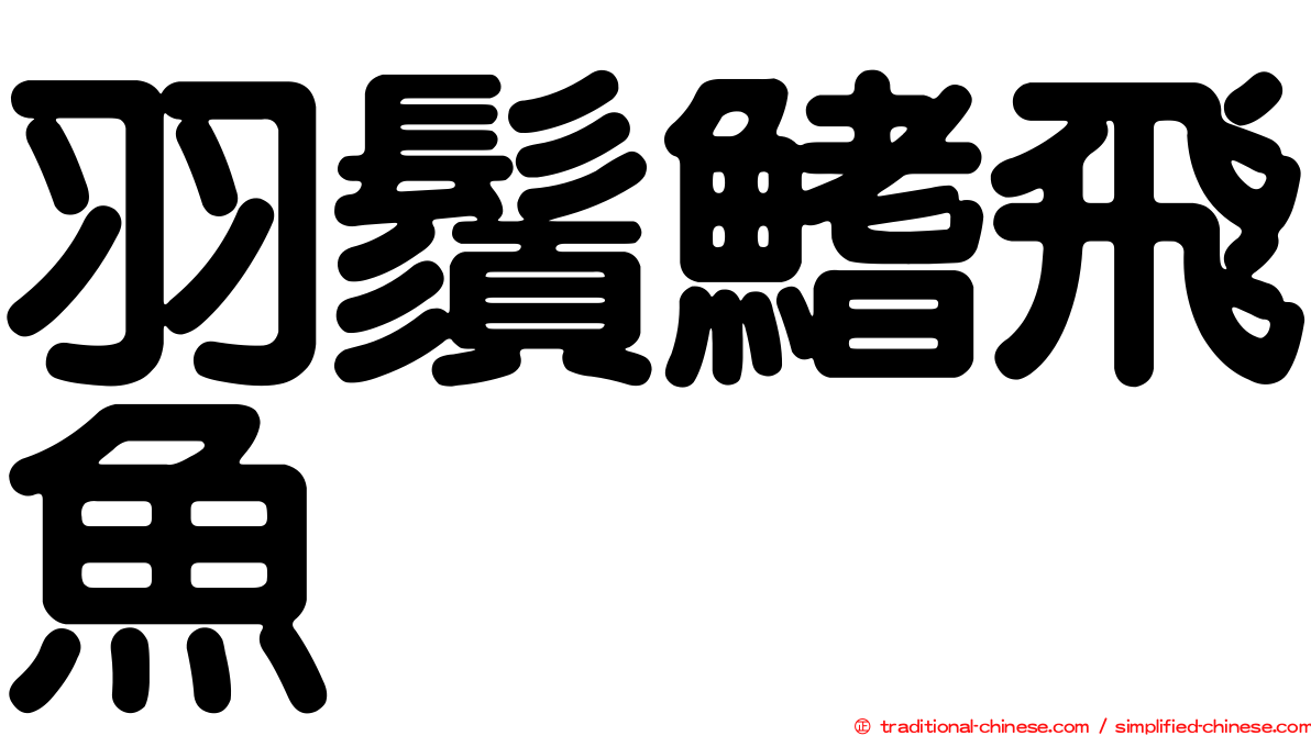 羽鬚鰭飛魚