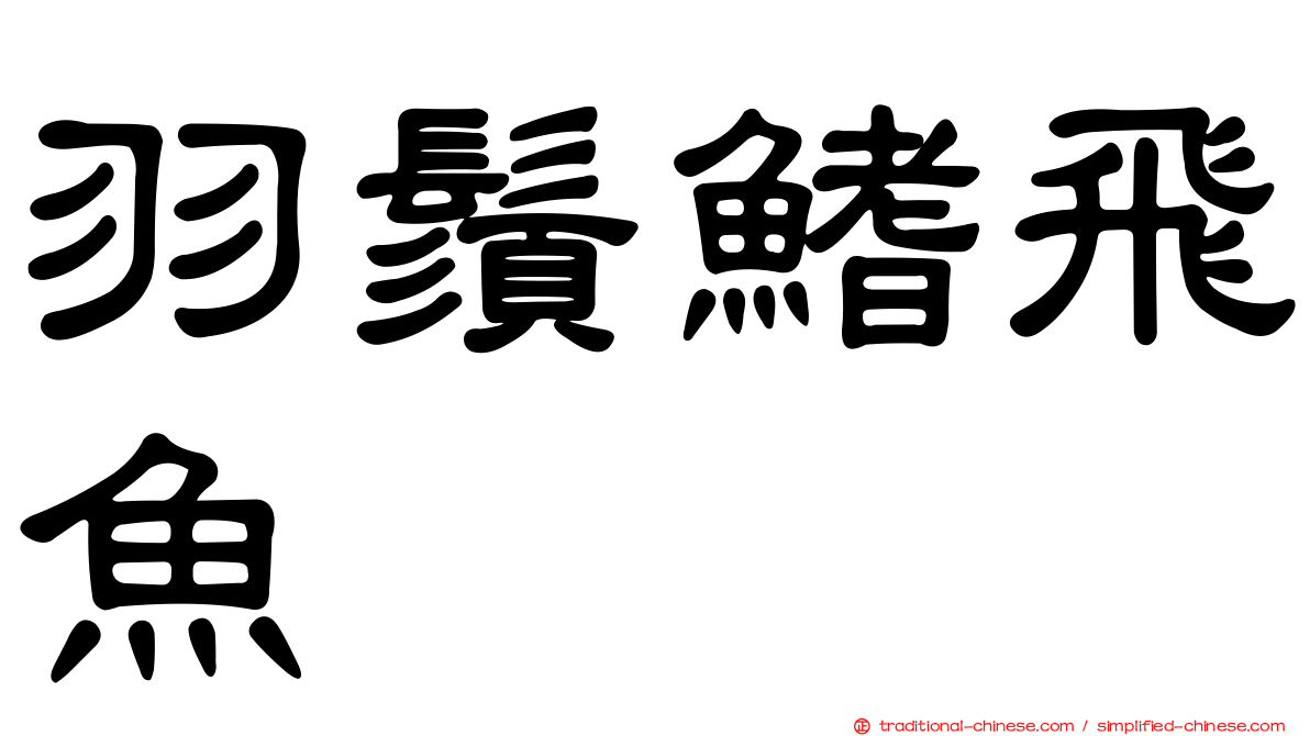 羽鬚鰭飛魚