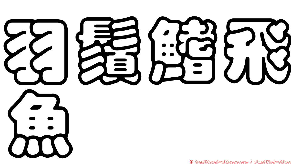 羽鬚鰭飛魚