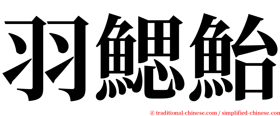 羽鰓鮐 serif font