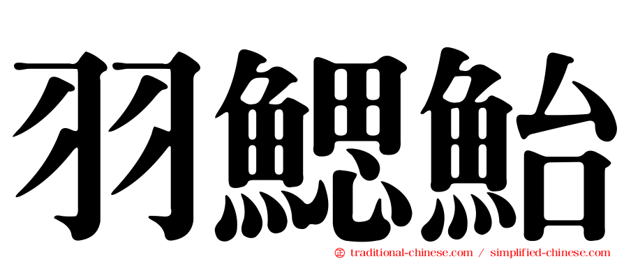 羽鰓鮐