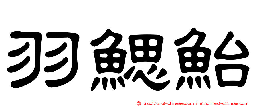 羽鰓鮐