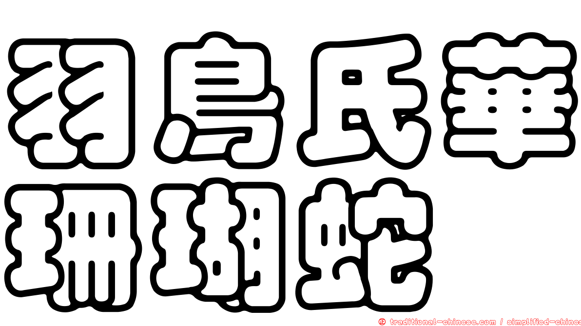 羽鳥氏華珊瑚蛇