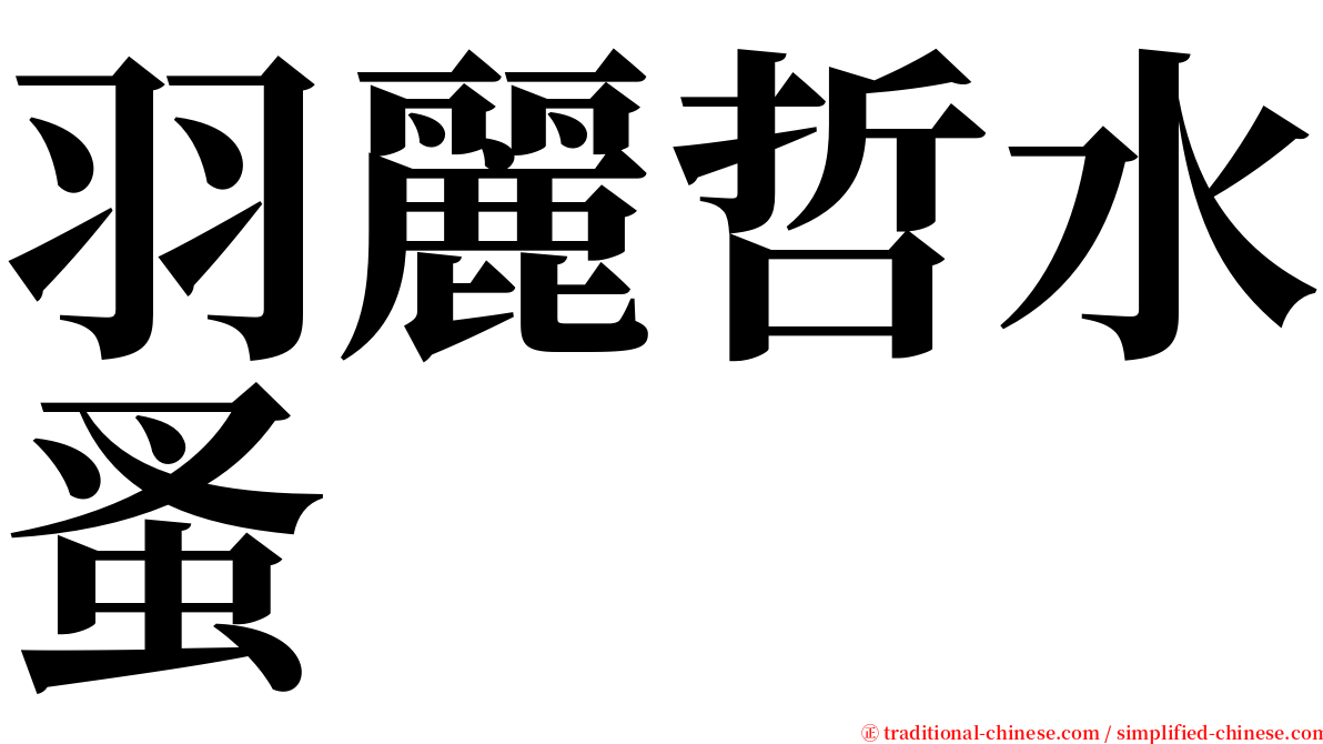 羽麗哲水蚤 serif font