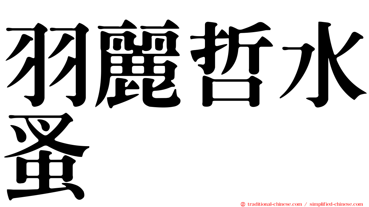 羽麗哲水蚤