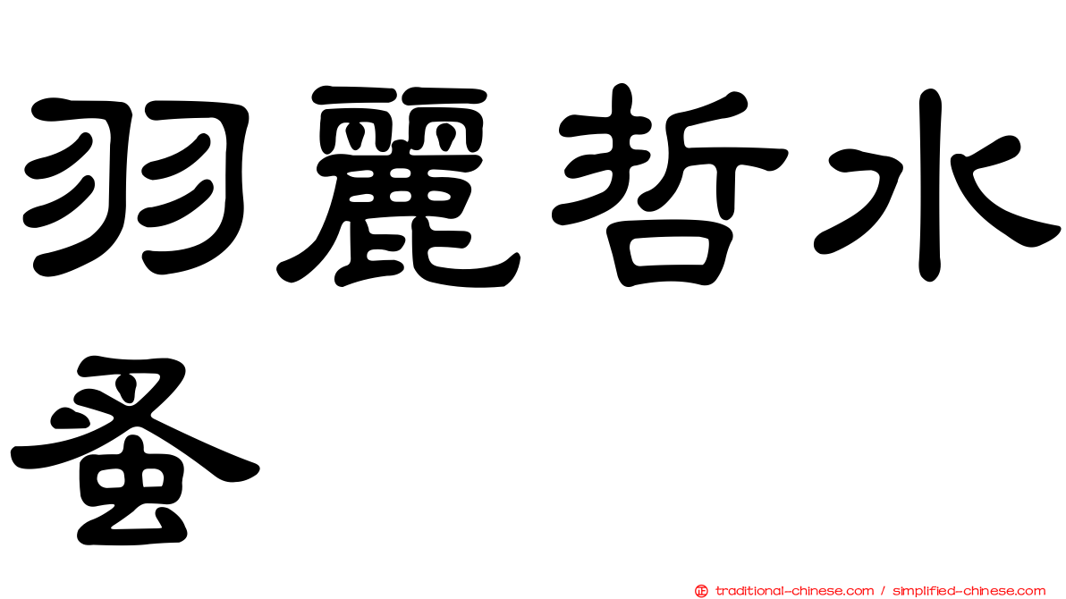 羽麗哲水蚤
