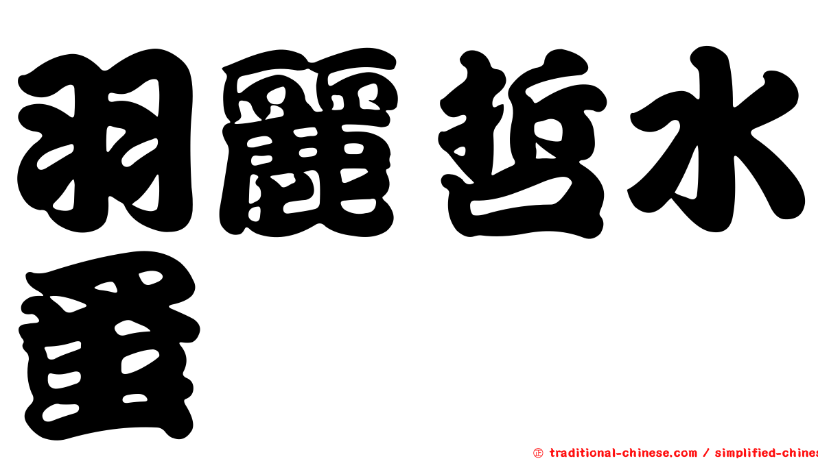 羽麗哲水蚤