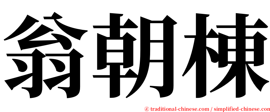 翁朝棟 serif font