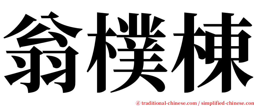 翁樸棟 serif font