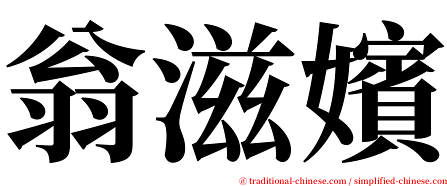 翁滋嬪 serif font