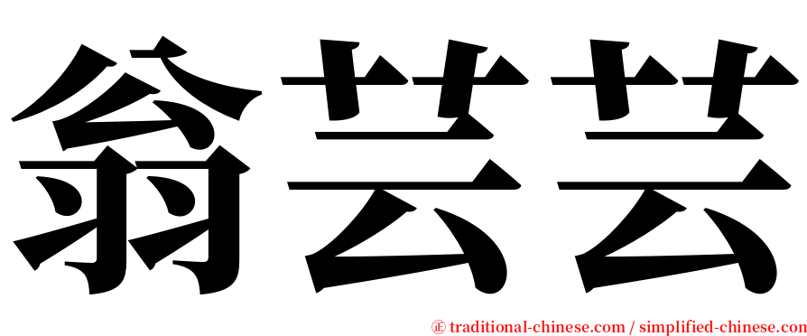 翁芸芸 serif font