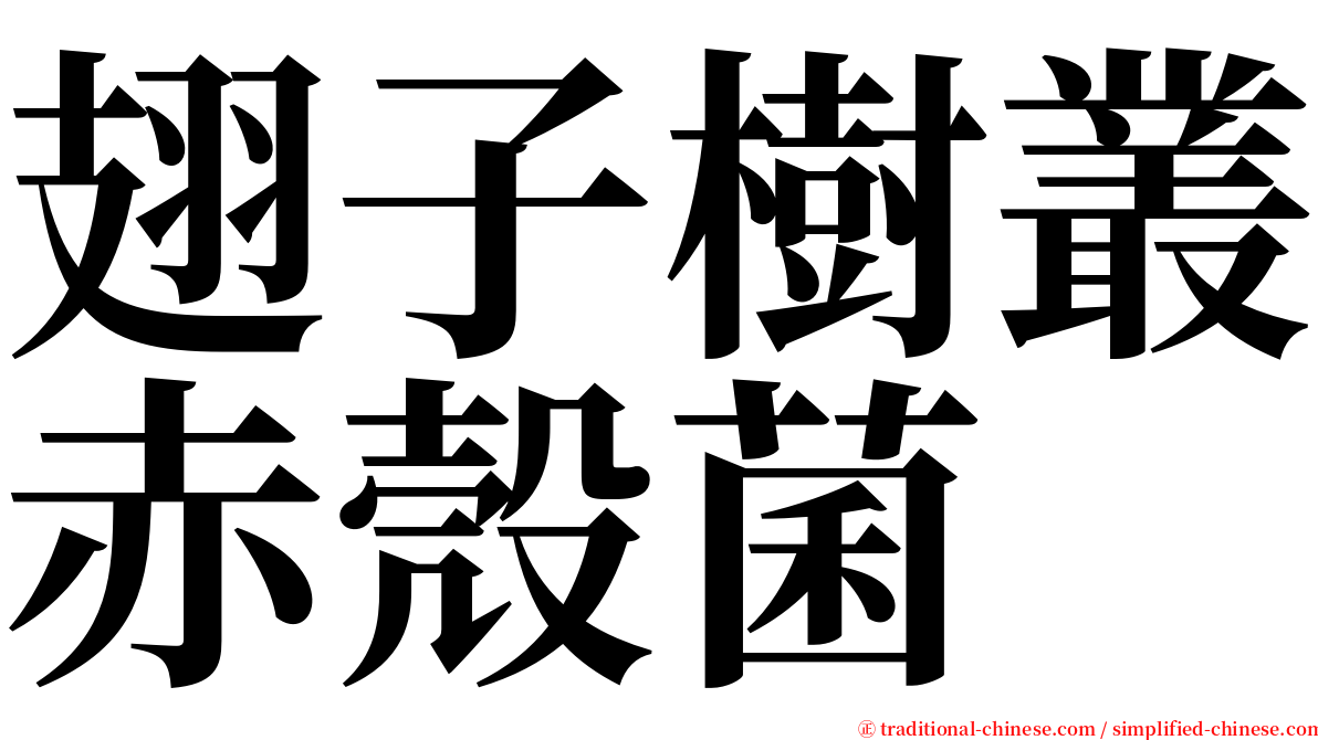 翅子樹叢赤殼菌 serif font