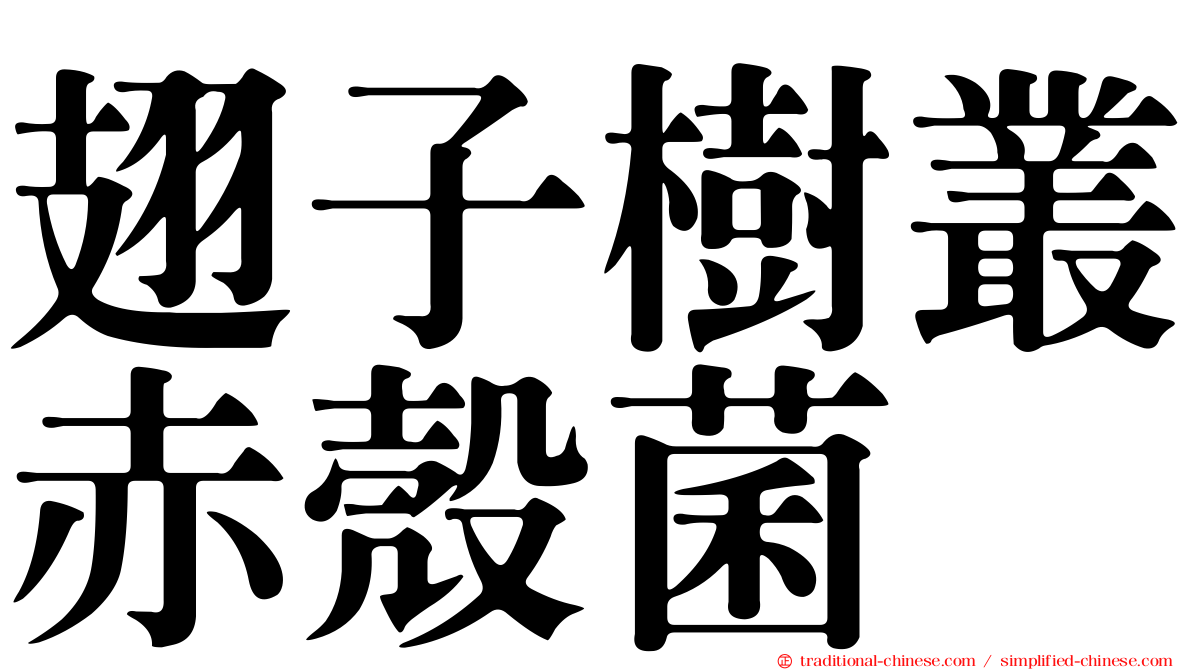 翅子樹叢赤殼菌