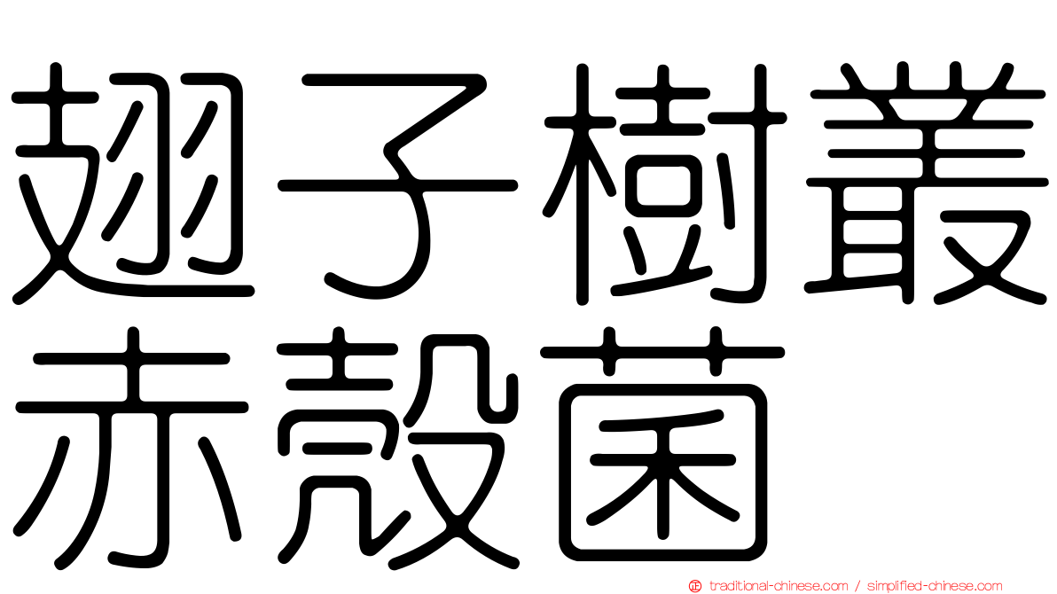 翅子樹叢赤殼菌