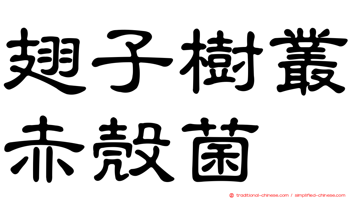 翅子樹叢赤殼菌