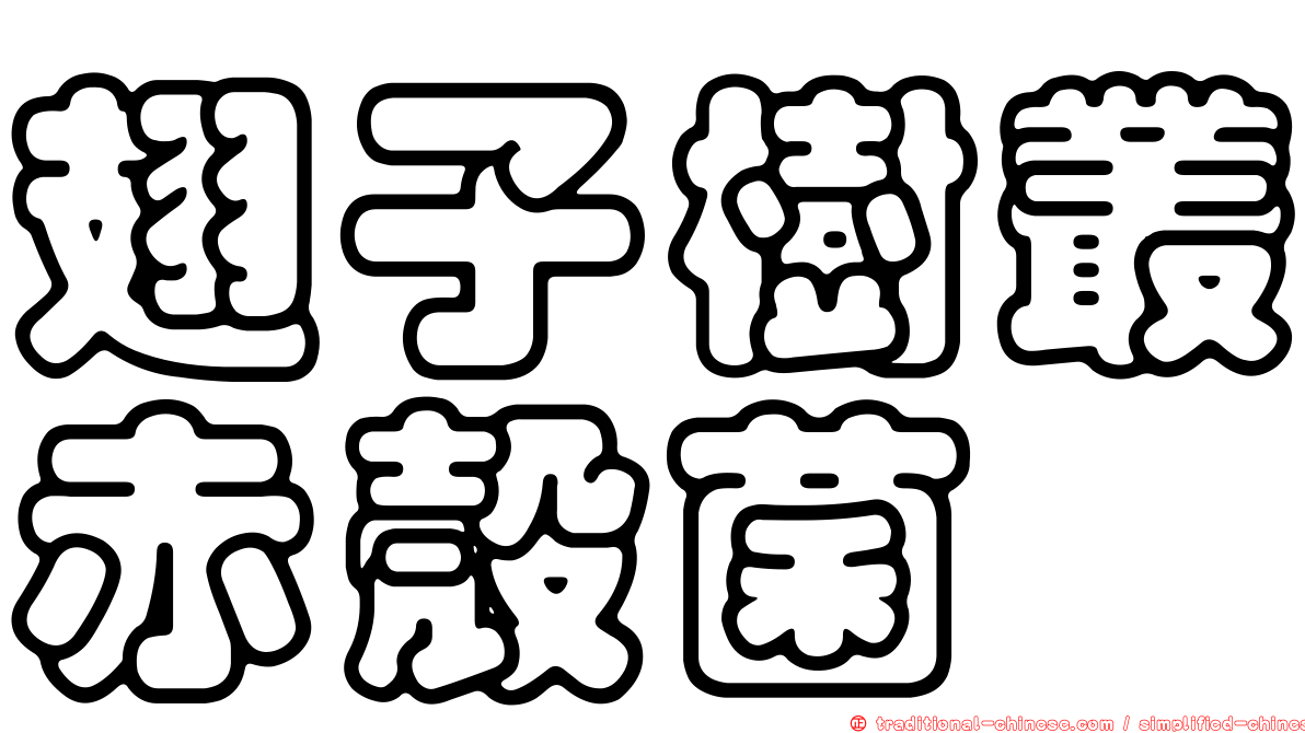 翅子樹叢赤殼菌