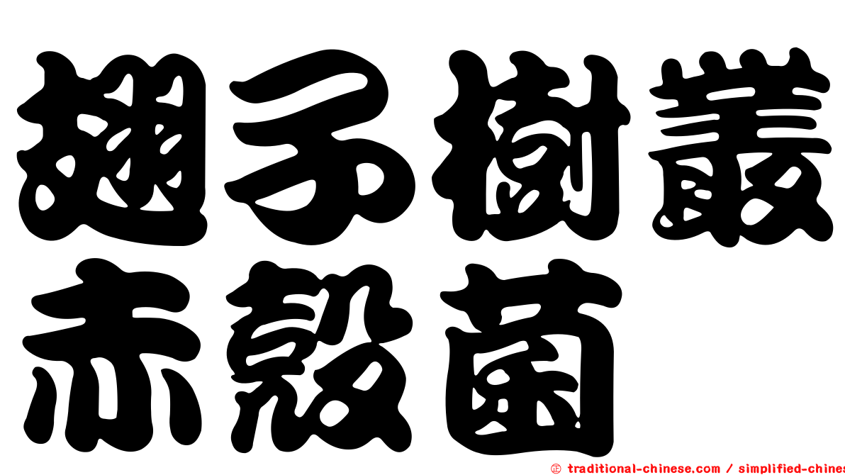 翅子樹叢赤殼菌