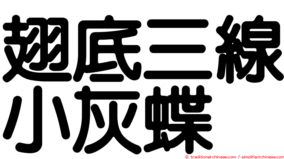 翅底三線小灰蝶