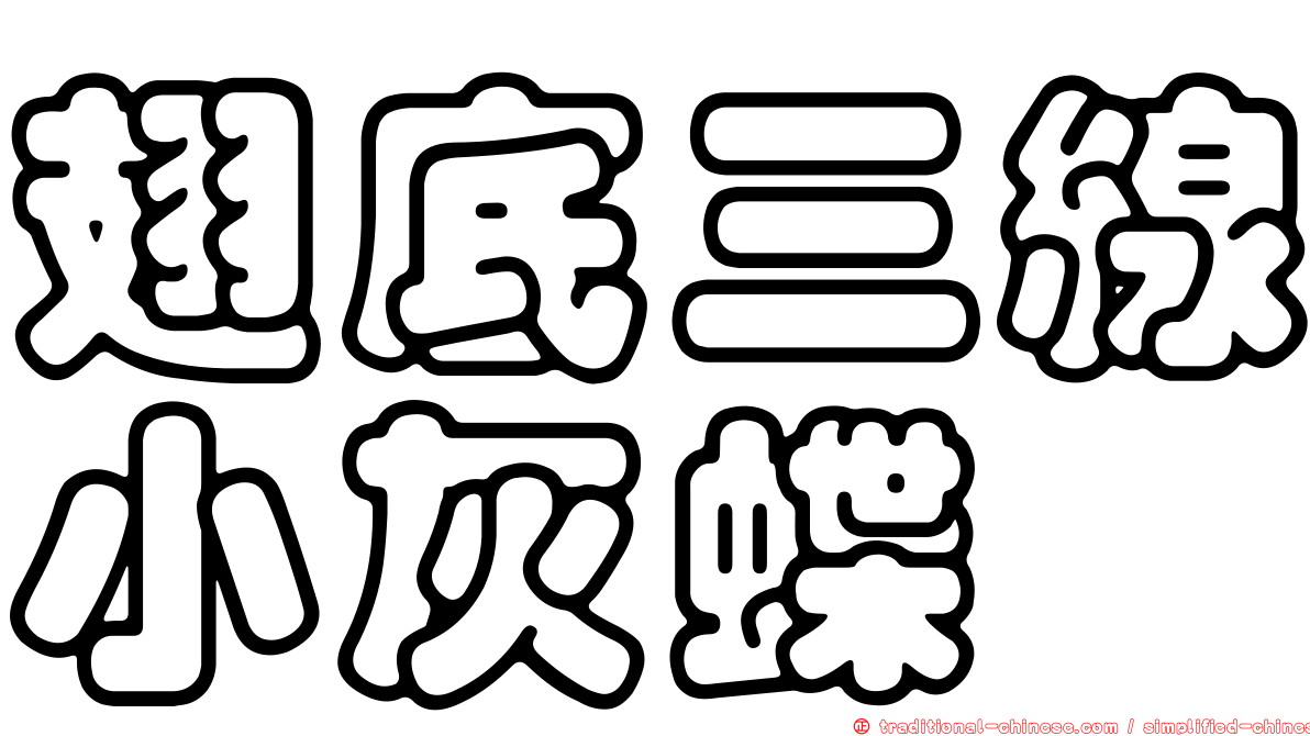 翅底三線小灰蝶
