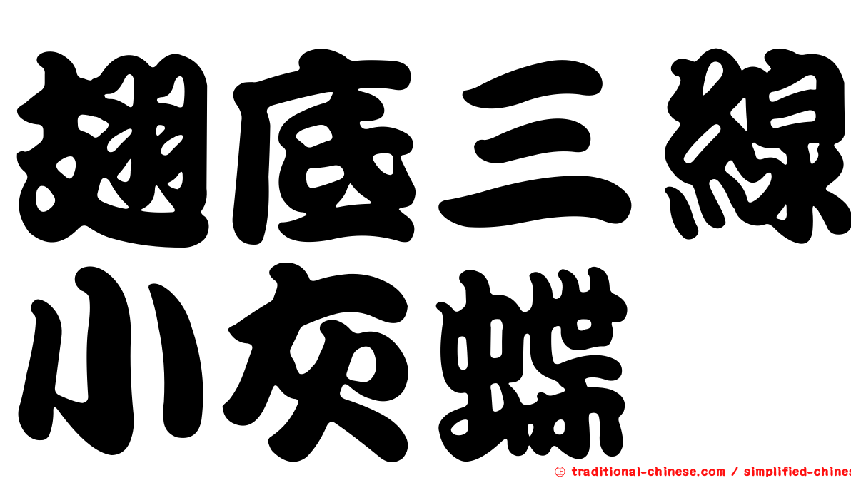 翅底三線小灰蝶