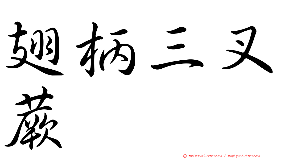 翅柄三叉蕨