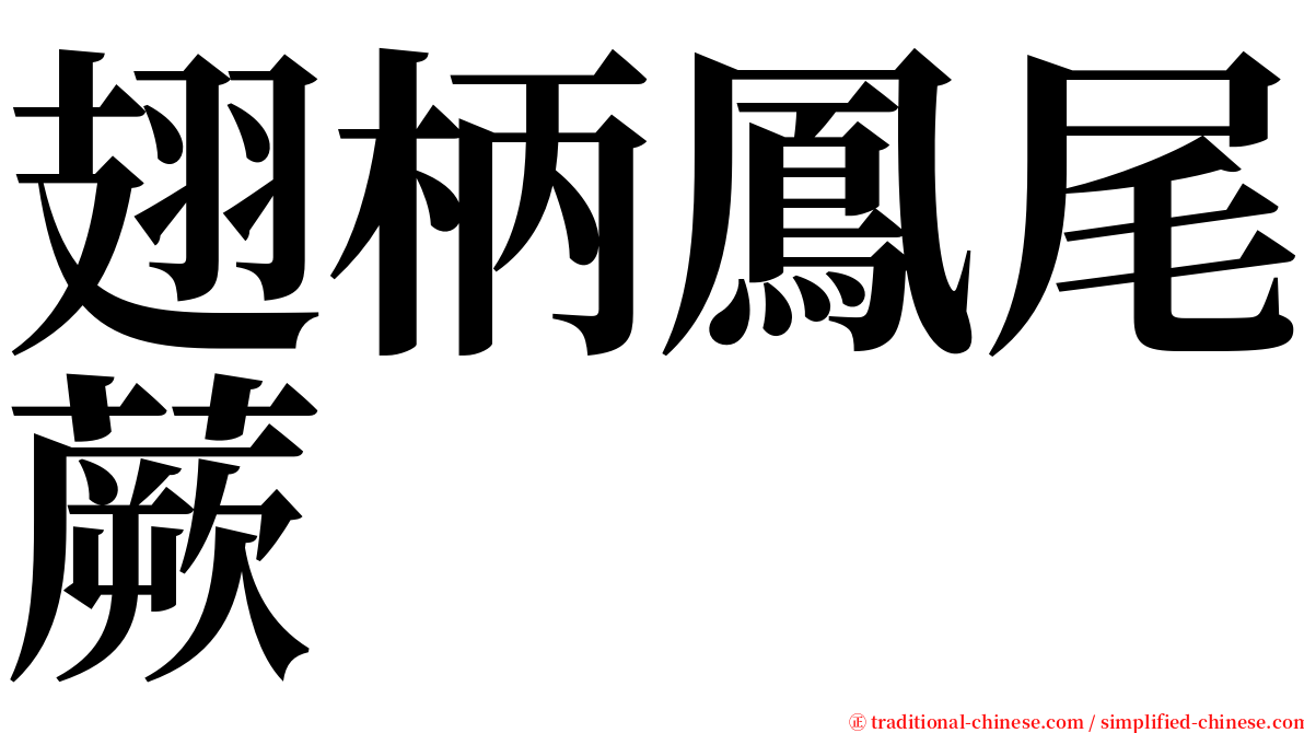 翅柄鳳尾蕨 serif font